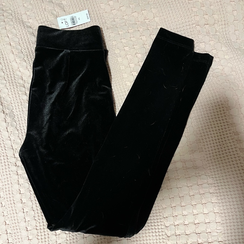 Loft velvet legging pant